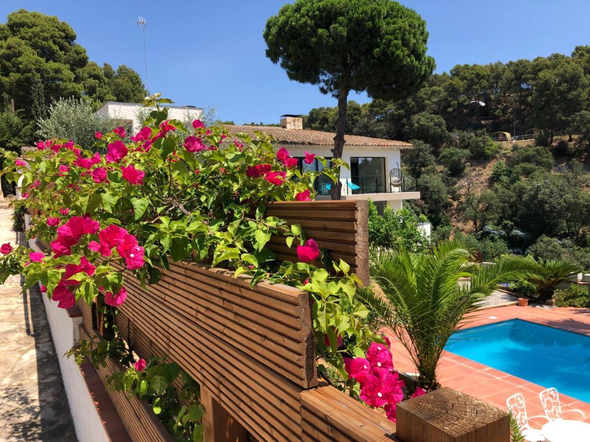 Casa Karian Lejlighed Tossa de Mar Eksteriør billede