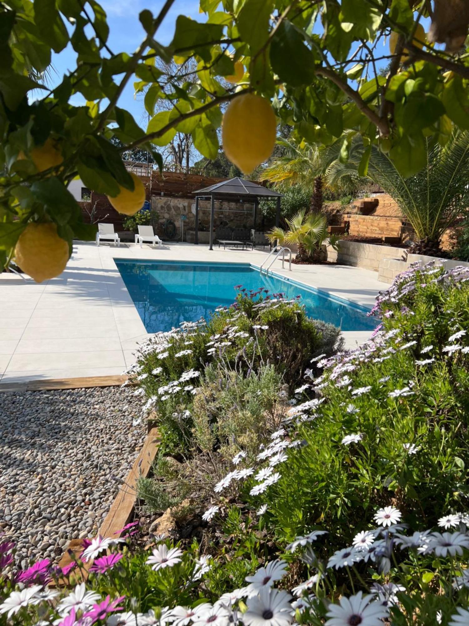 Casa Karian Lejlighed Tossa de Mar Eksteriør billede